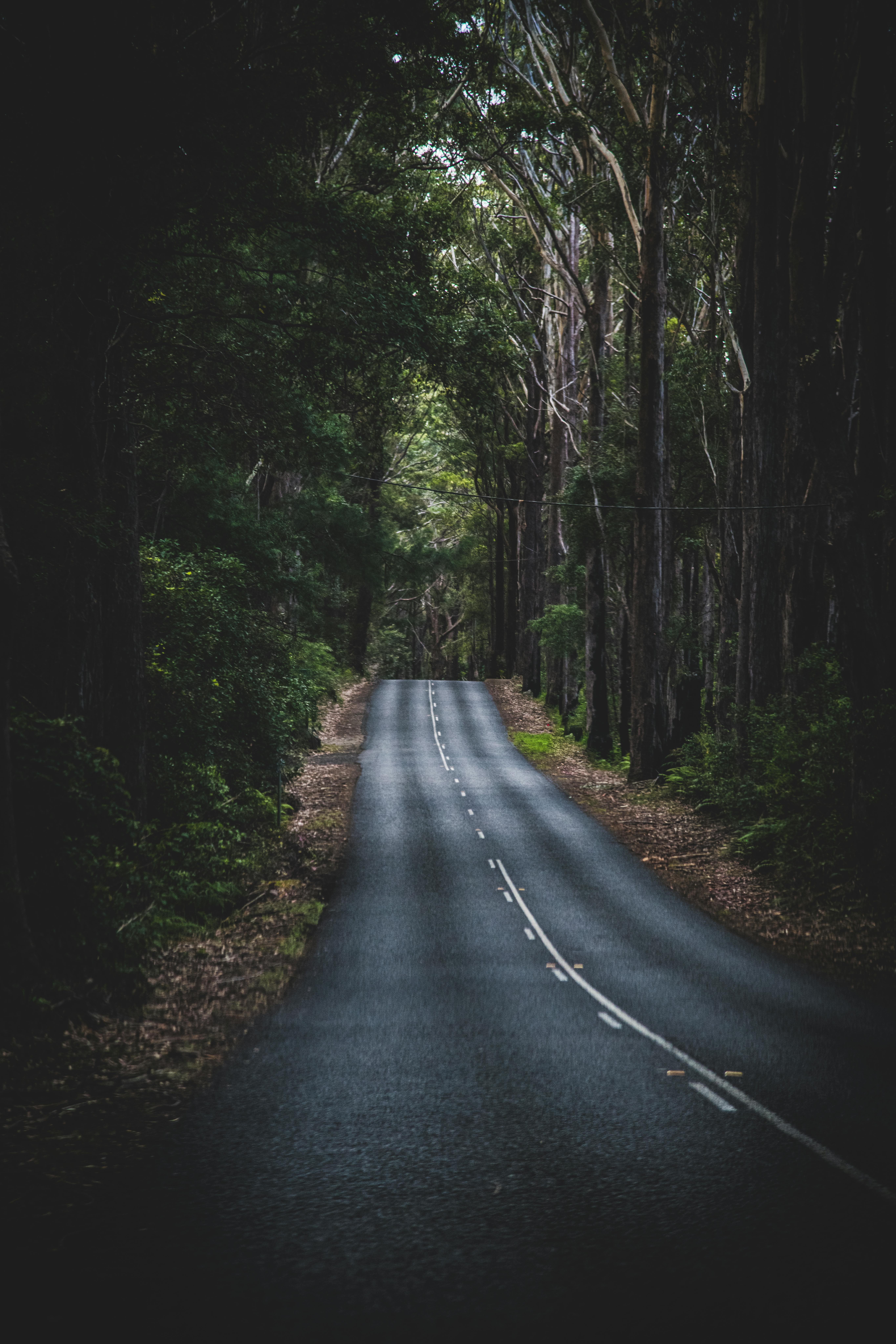 Paisaje natural australiano